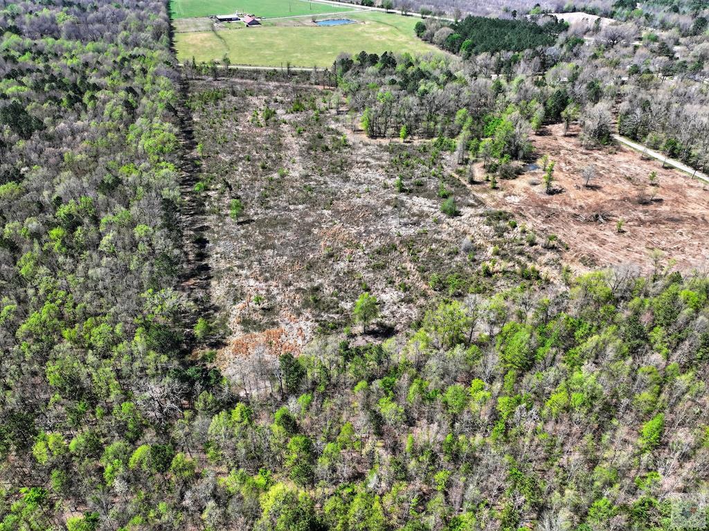 55 +/- Acres County Road 4223