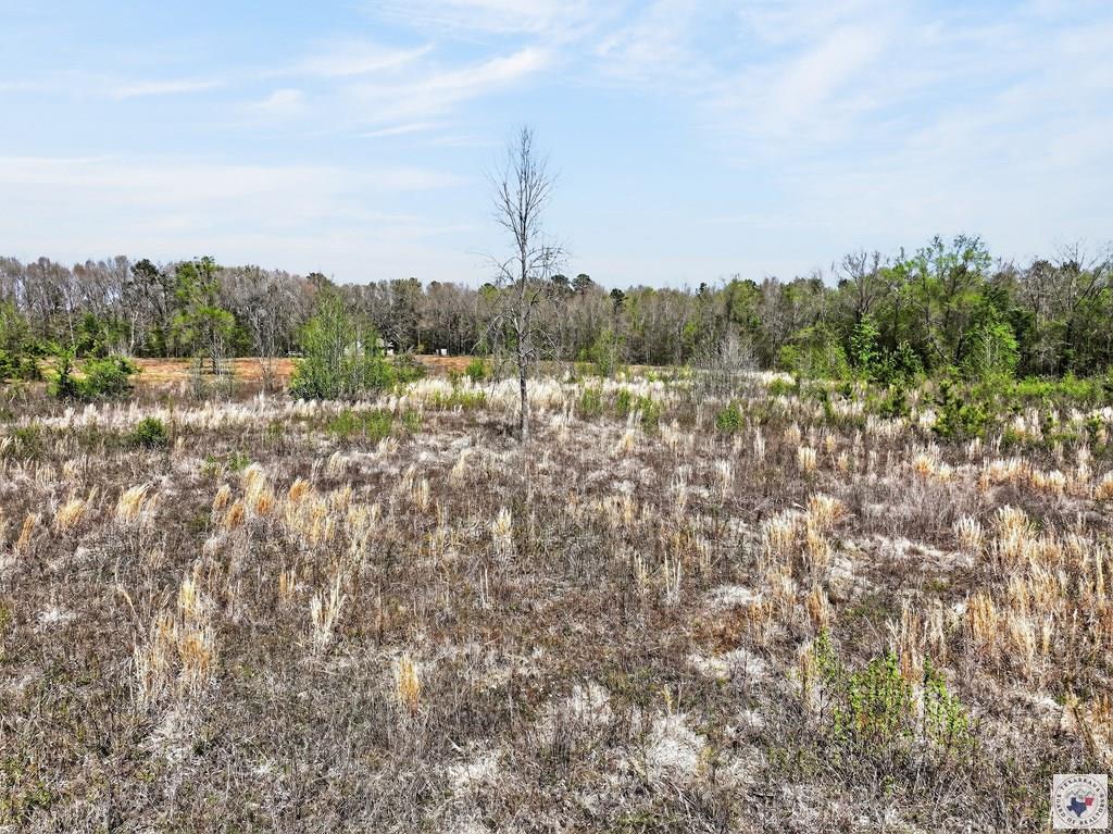 0 County Road 4223