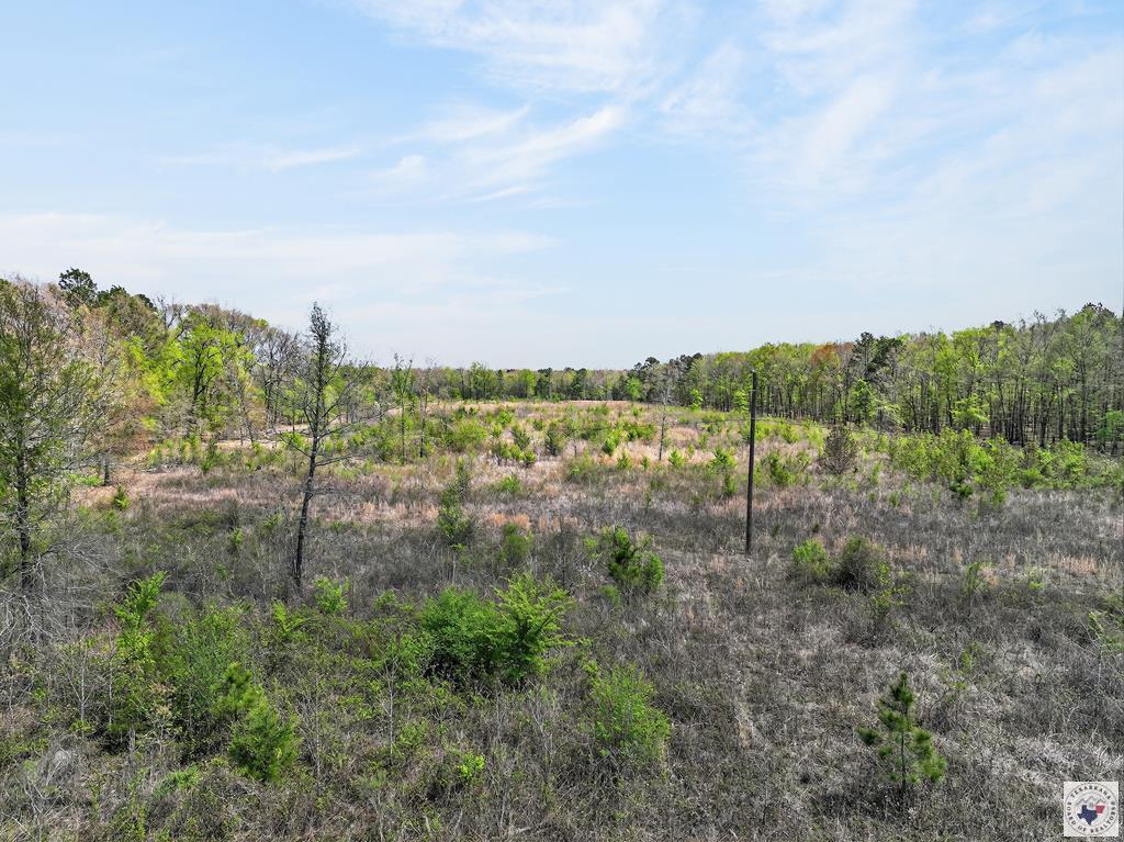 0 County Road 4223