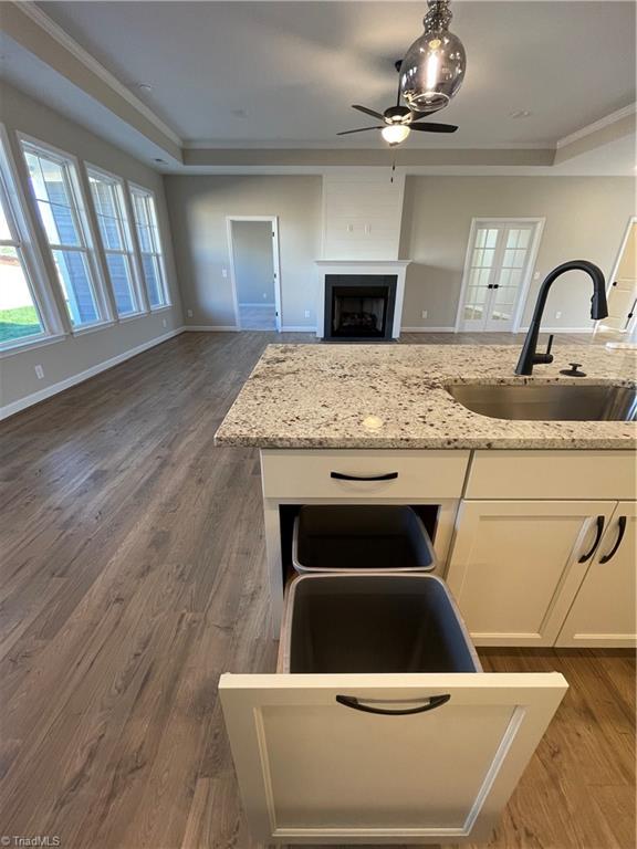 323 Mountain Maple Drive