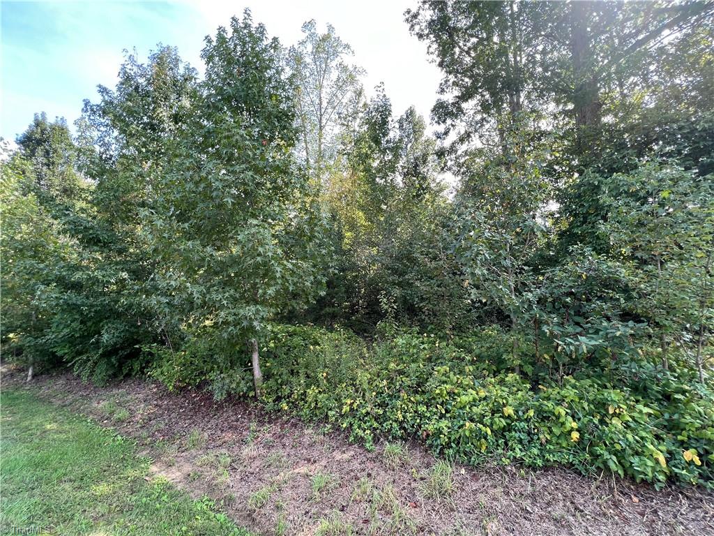 8155 Spring Hollow Court