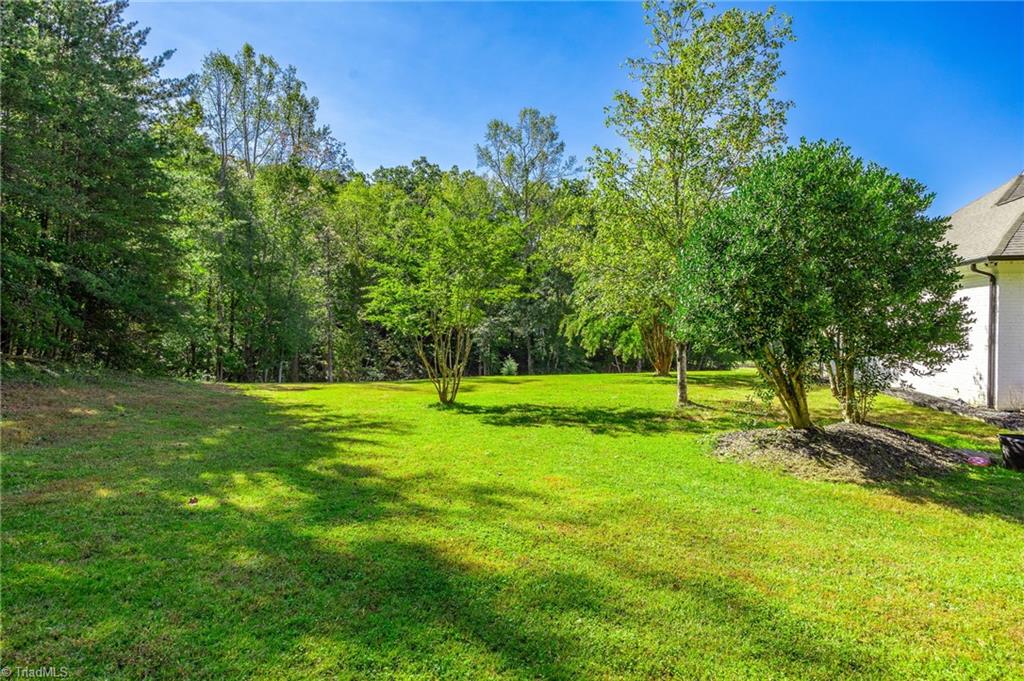 230 Jaguar Way
