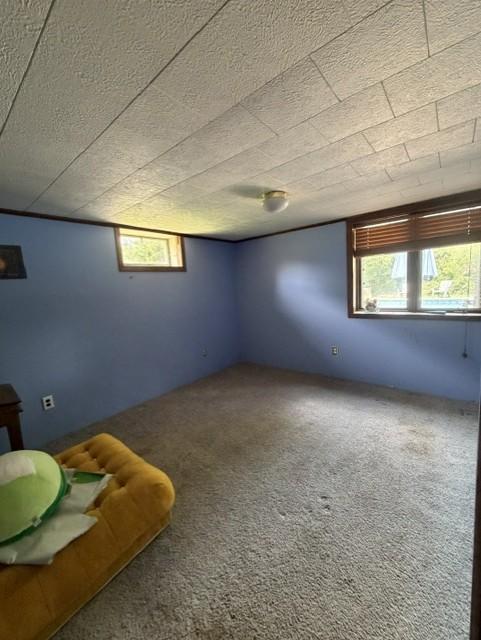 8042 73rd Street S