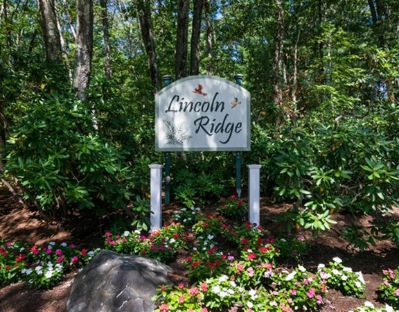 49 Birchwood # 49