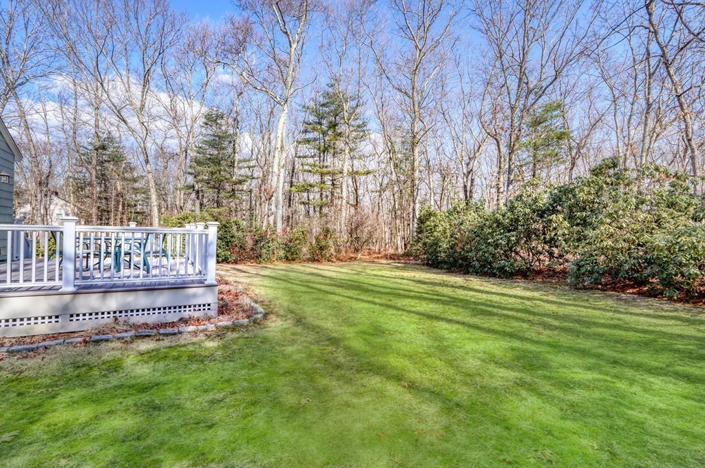 12 Deer Run Rd