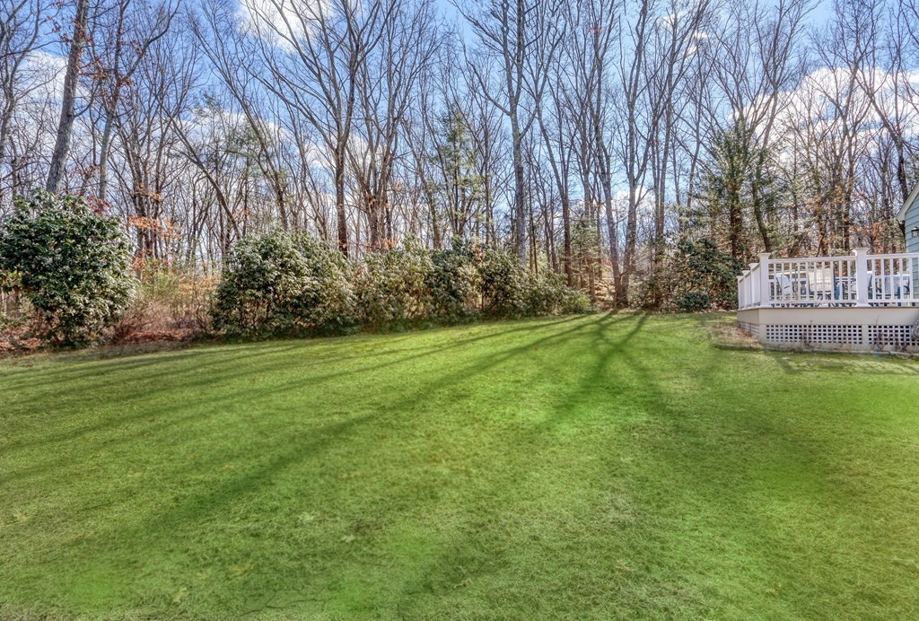 12 Deer Run Rd