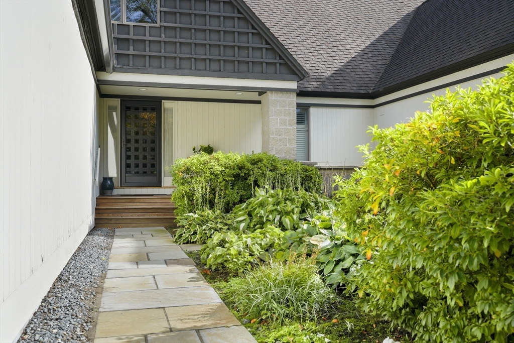 207 Nahanton Street # 207