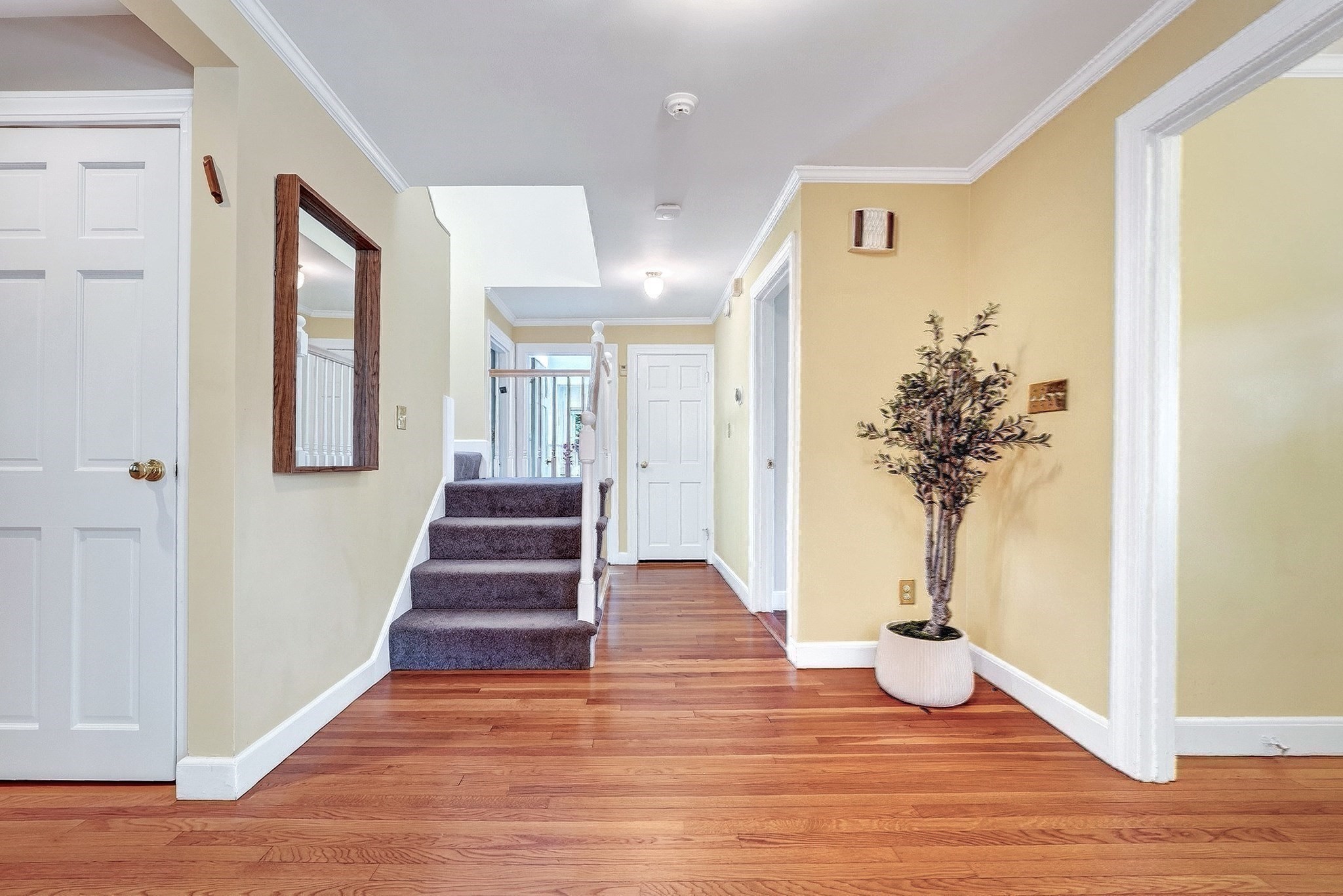 22 Nardell Rd