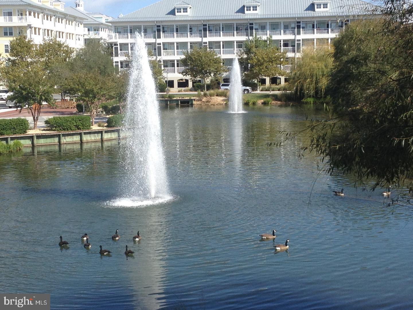 6 Fountain Dr E #3b