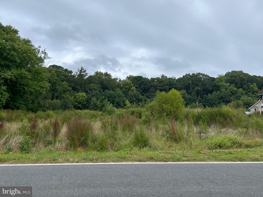 12013 Saint Martins Neck Rd