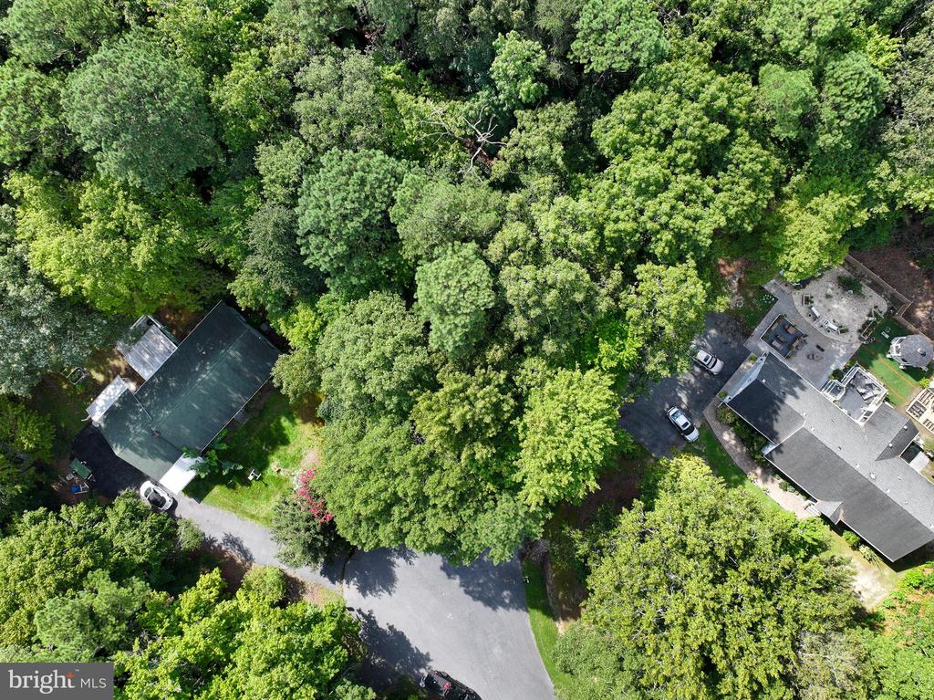 MARTIN COURT