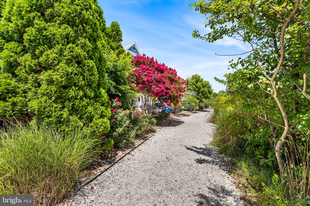 10 SHORE POINT DRIVE