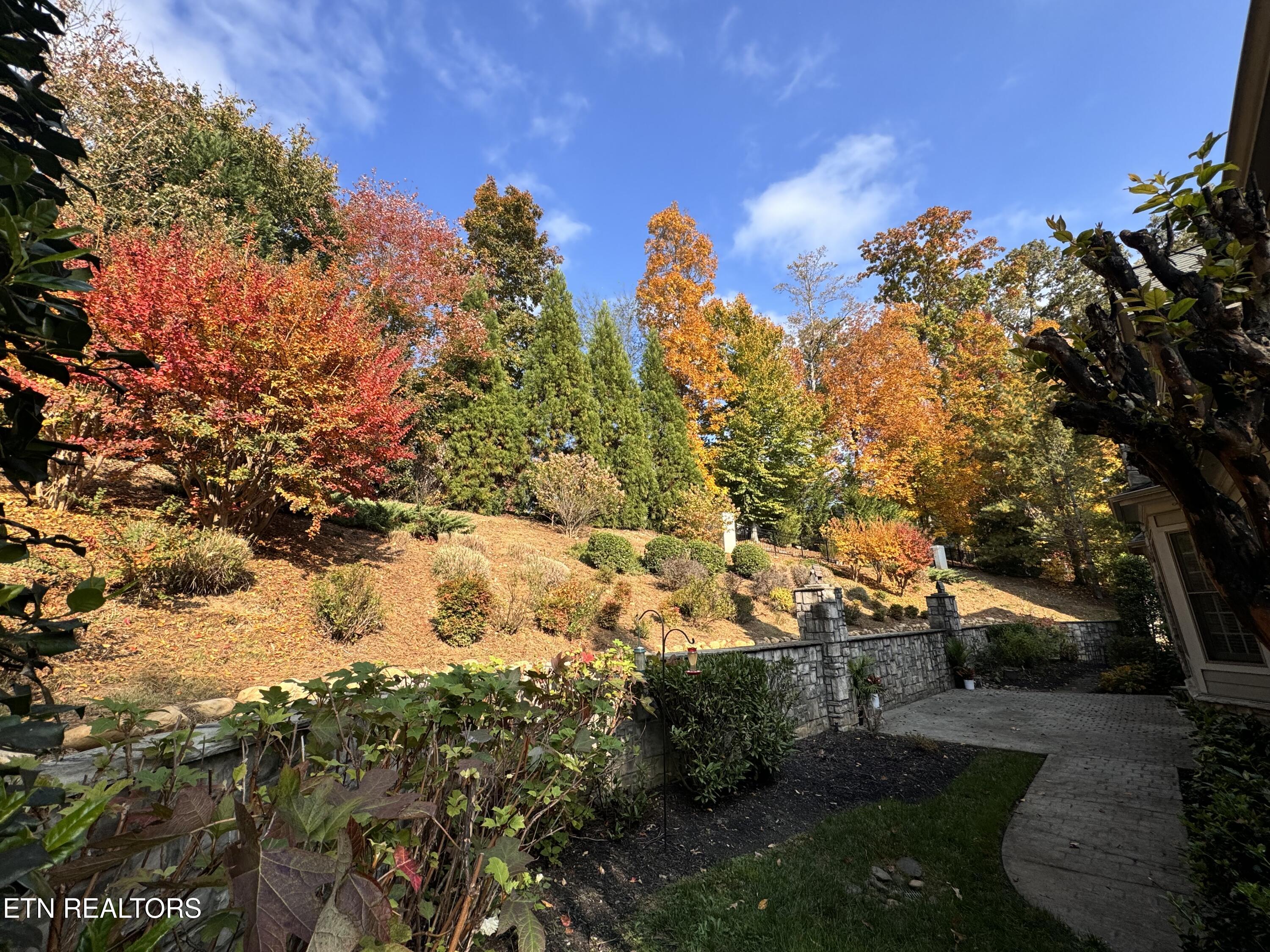 2550 Shady Meadow Lane