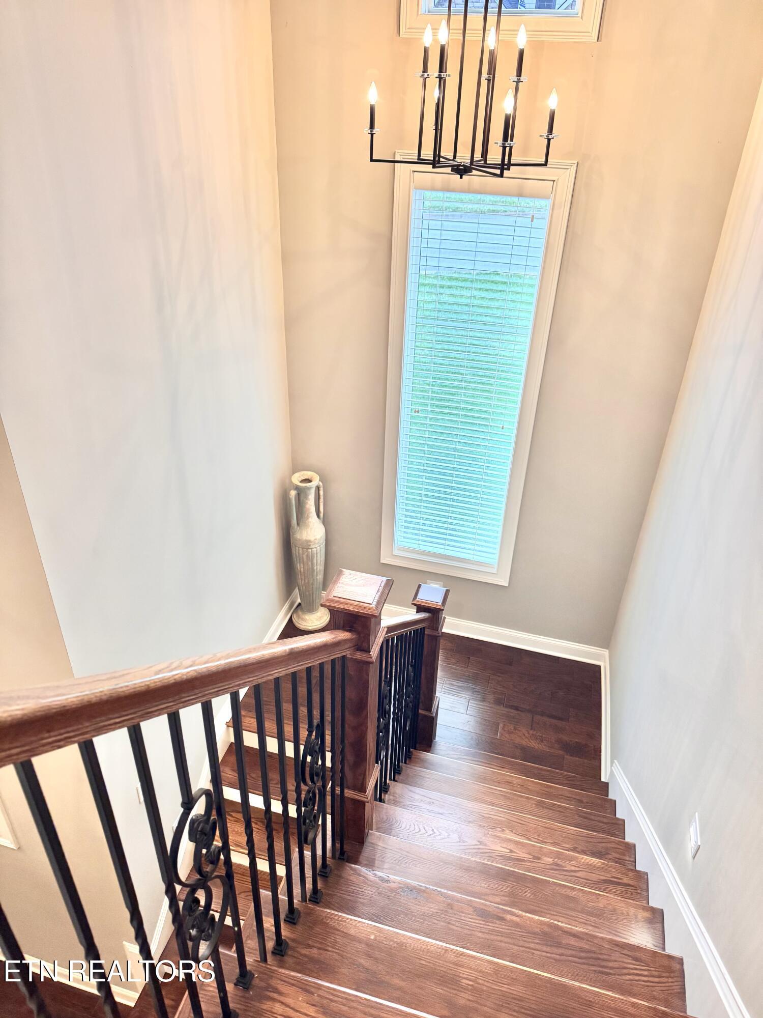 12546 Daisy Field Lane