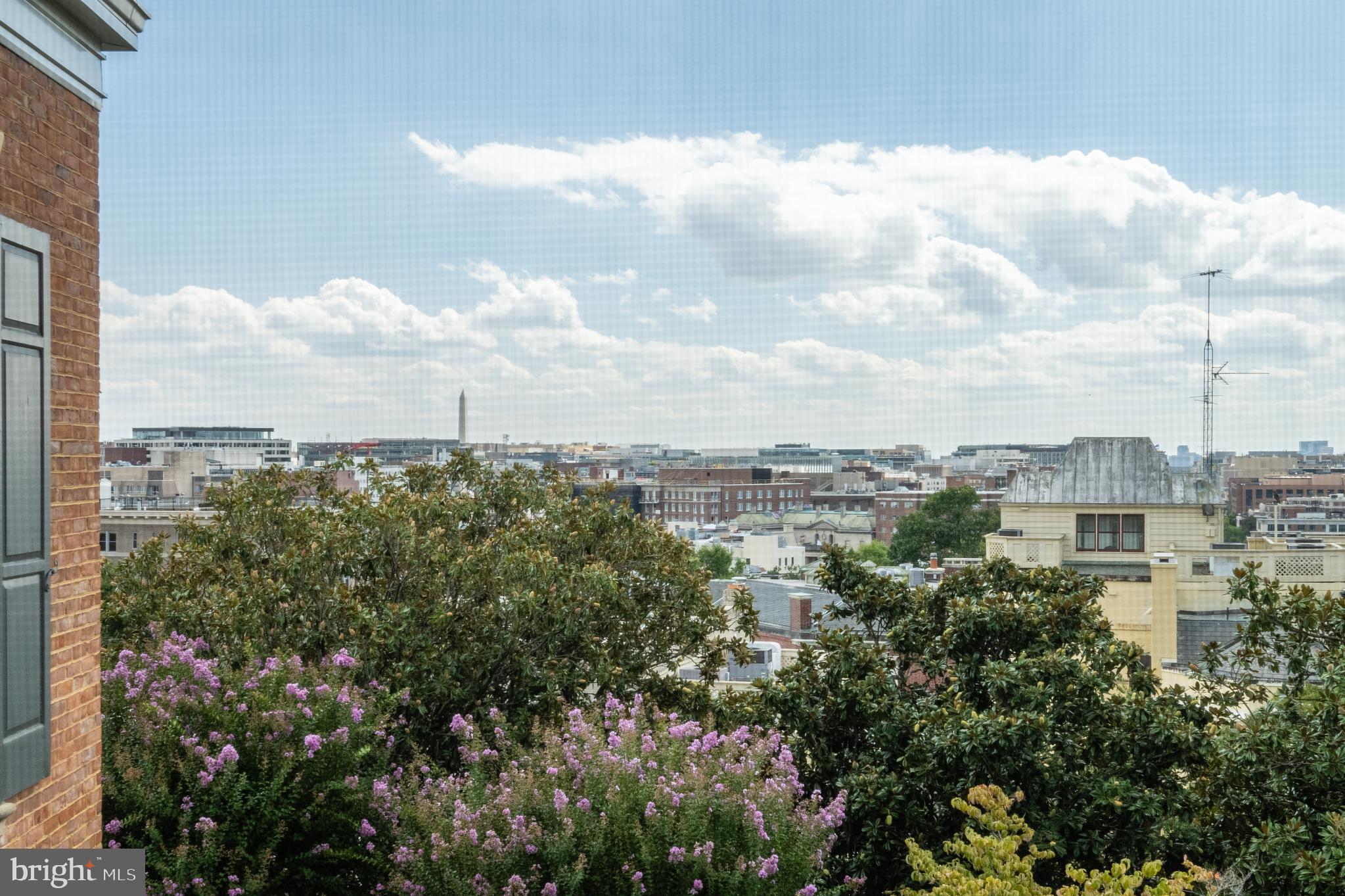 1803 KALORAMA SQUARE NW 2