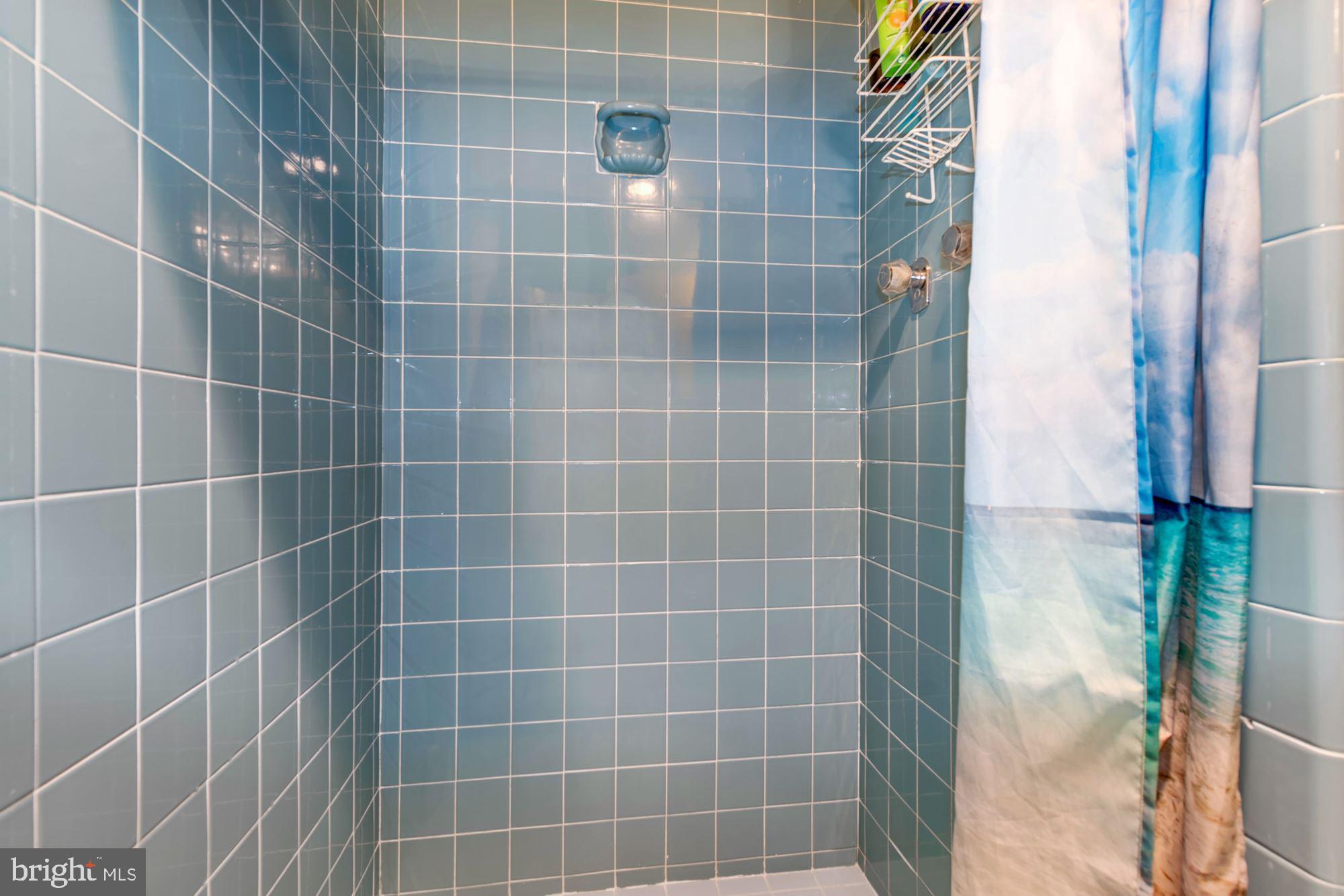 4201 CATHEDRAL AVENUE NW T5E