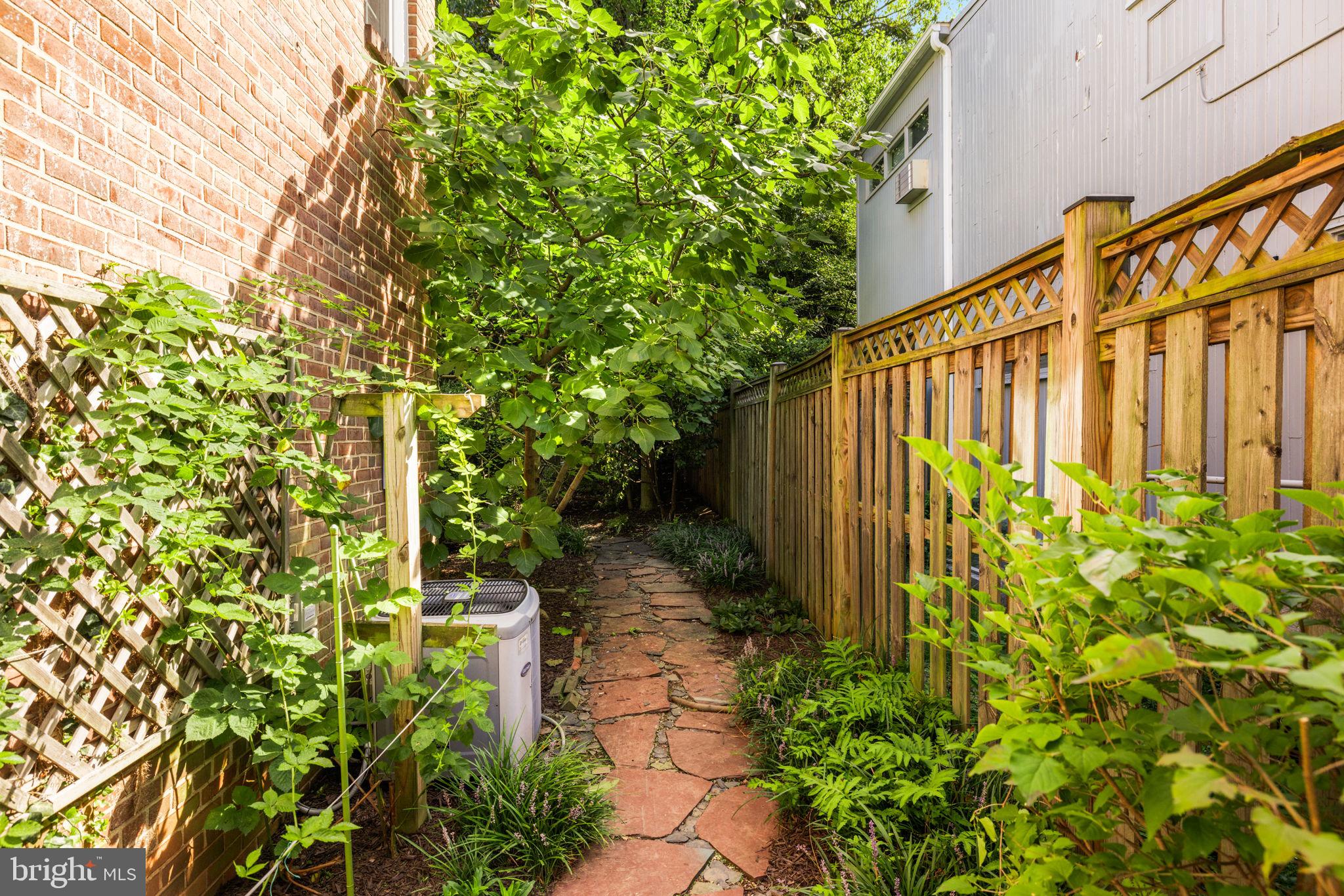 3636 APPLETON STREET NW