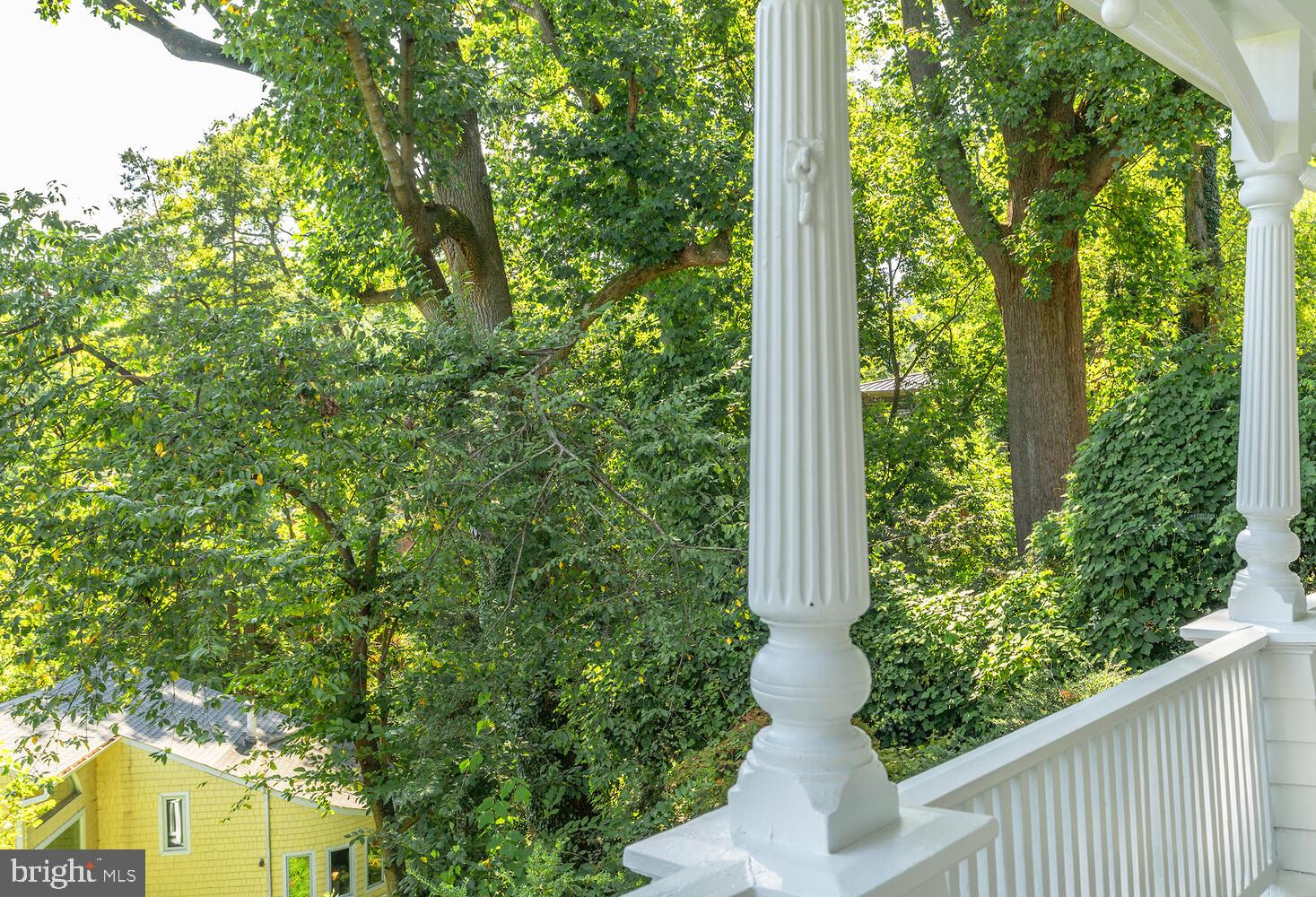 3034 NEWARK STREET NW