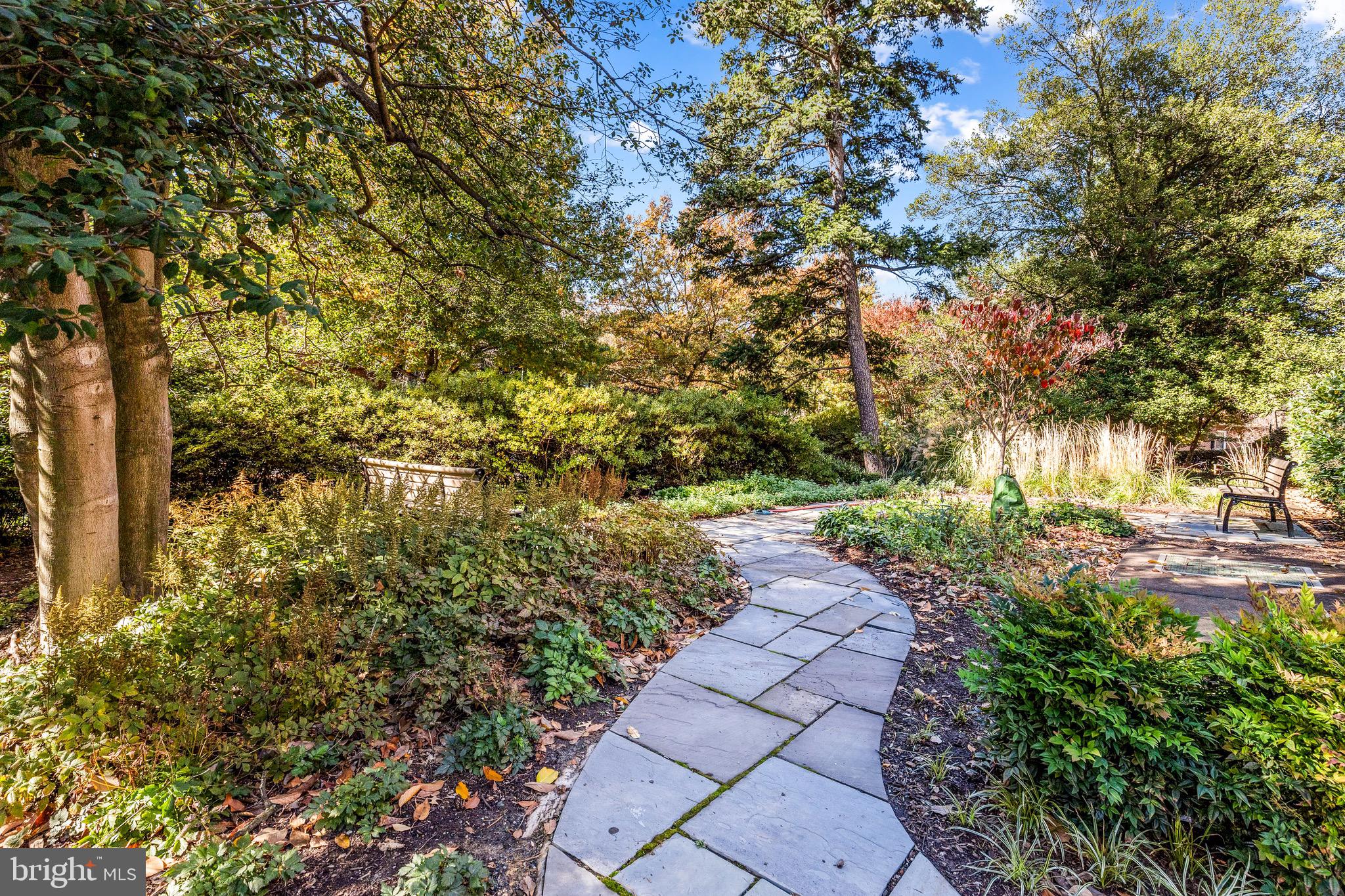 4301 MASSACHUSETTS AVENUE NW 1008