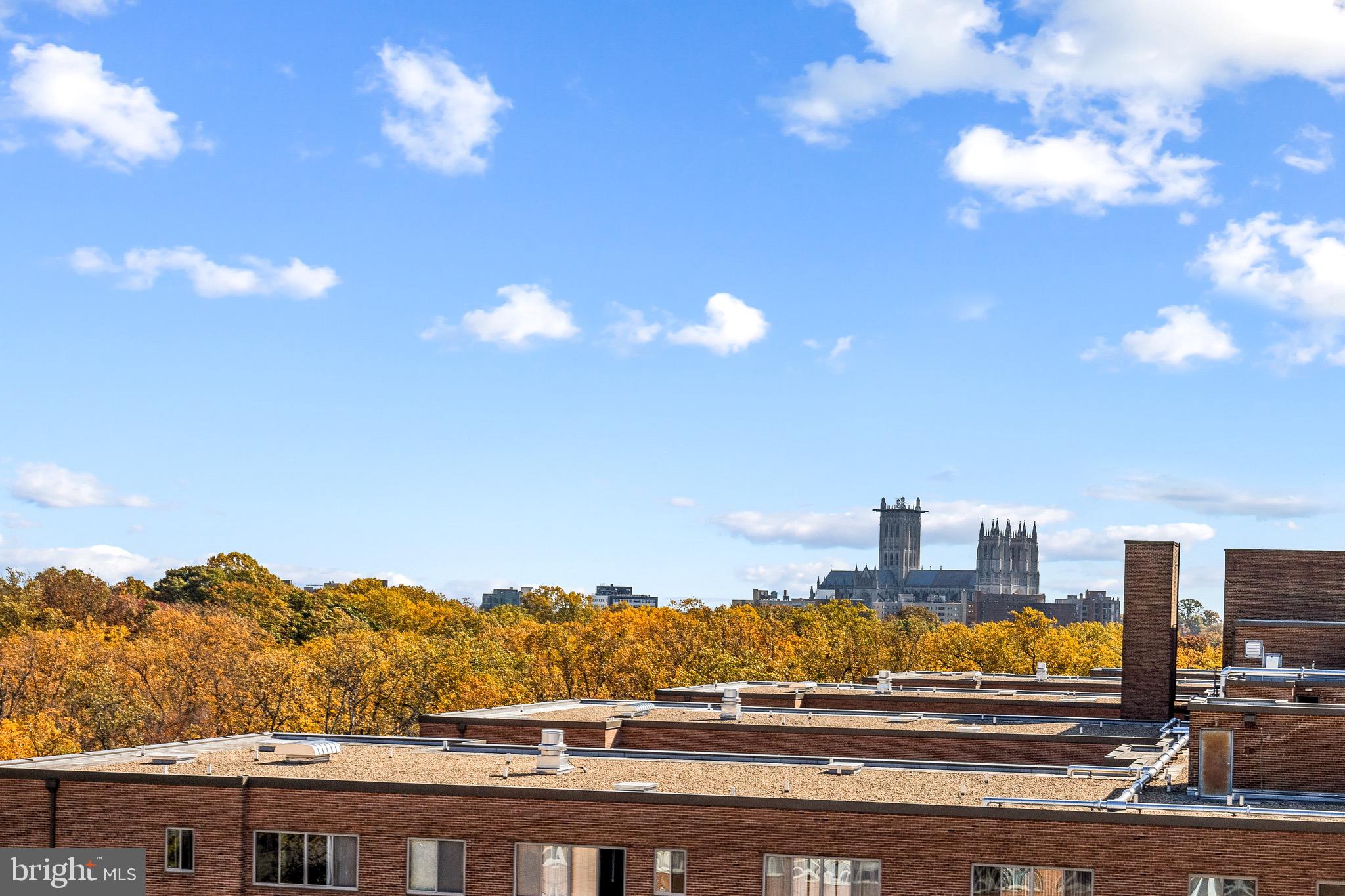 4301 MASSACHUSETTS AVENUE NW 1008