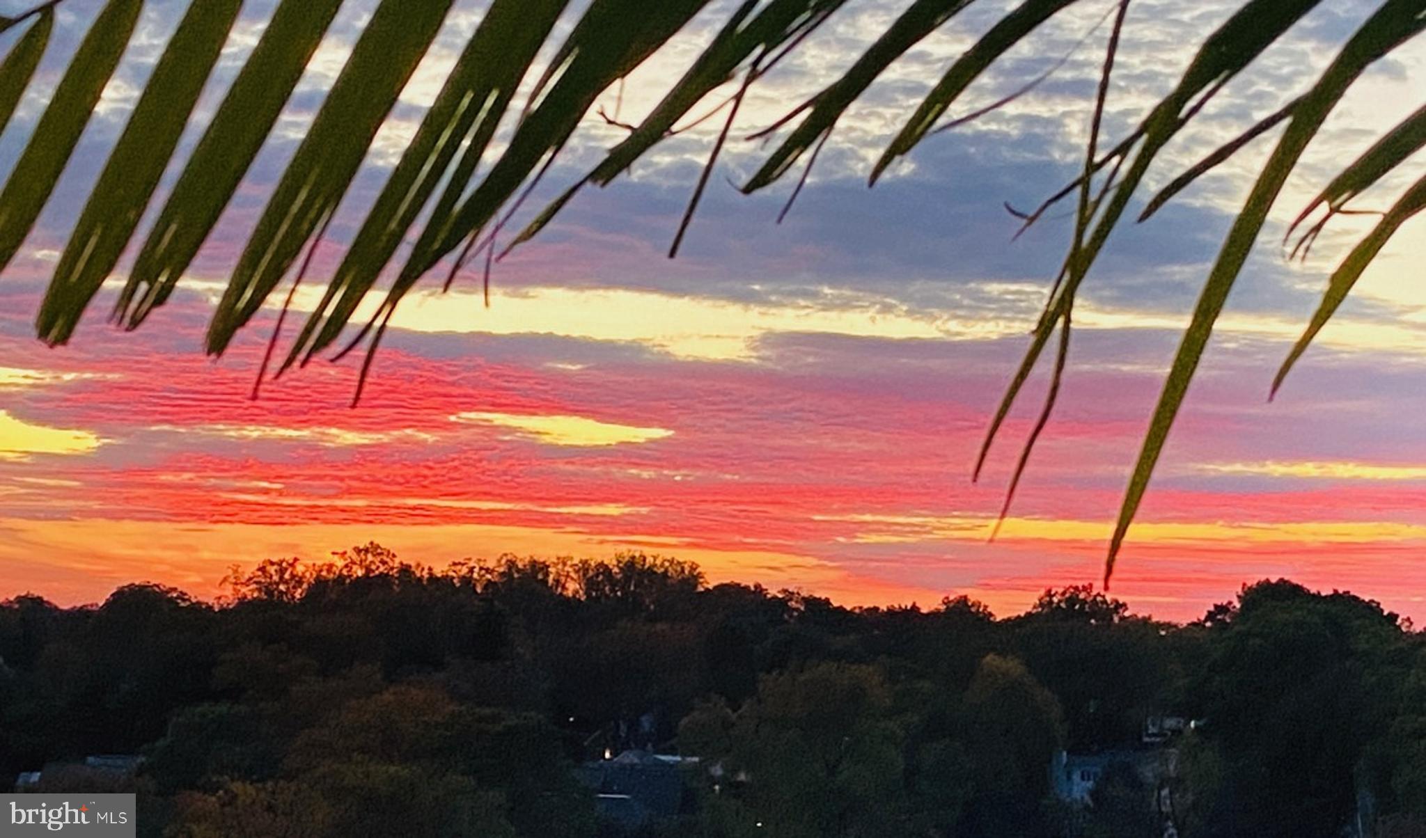 3101 NEW MEXICO AVENUE NW 1102