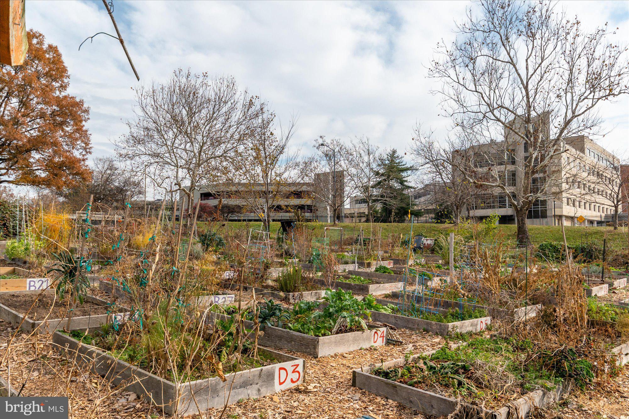 2905 GEORGIA AVENUE NW 203