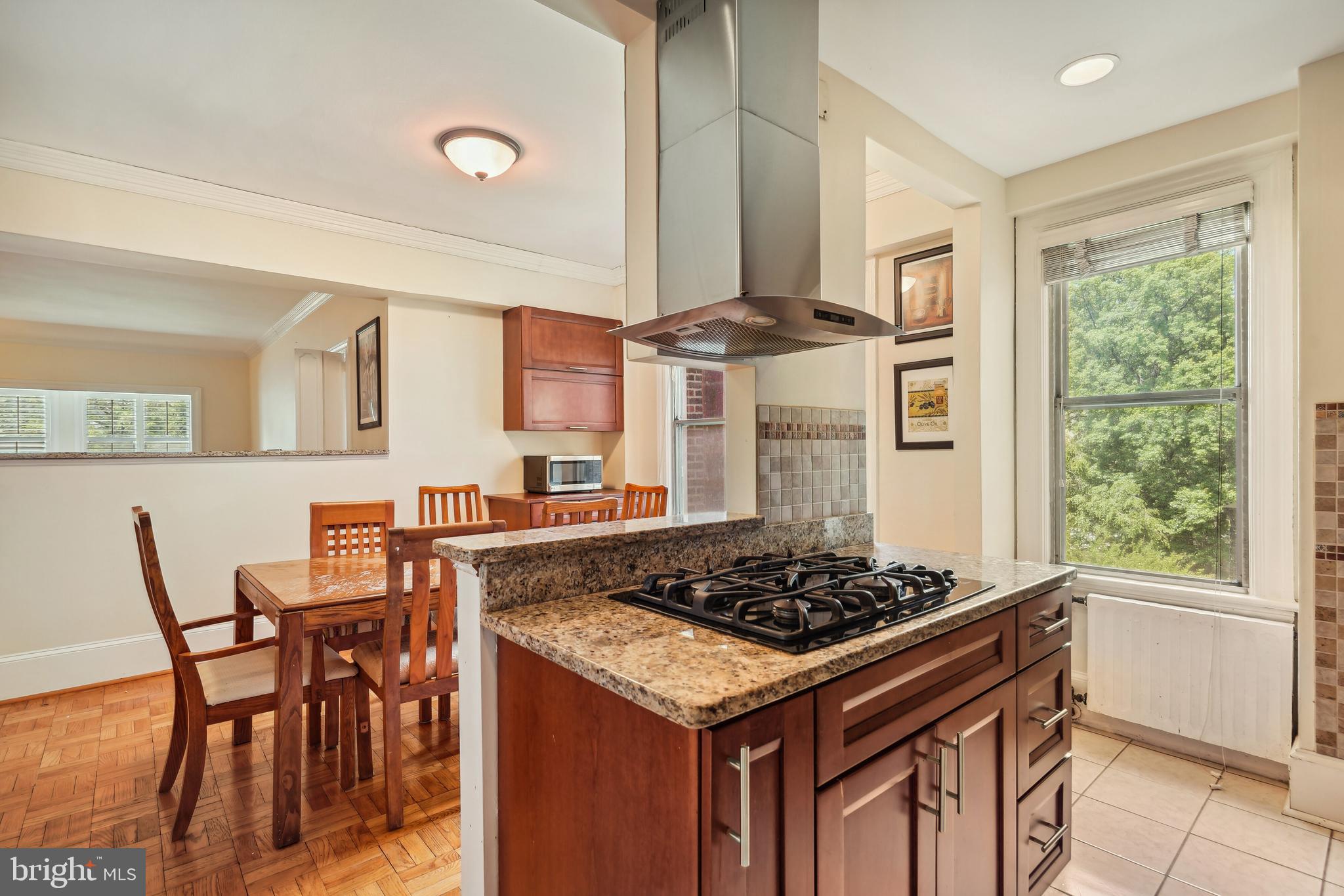 3900 CATHEDRAL AVENUE NW 301A