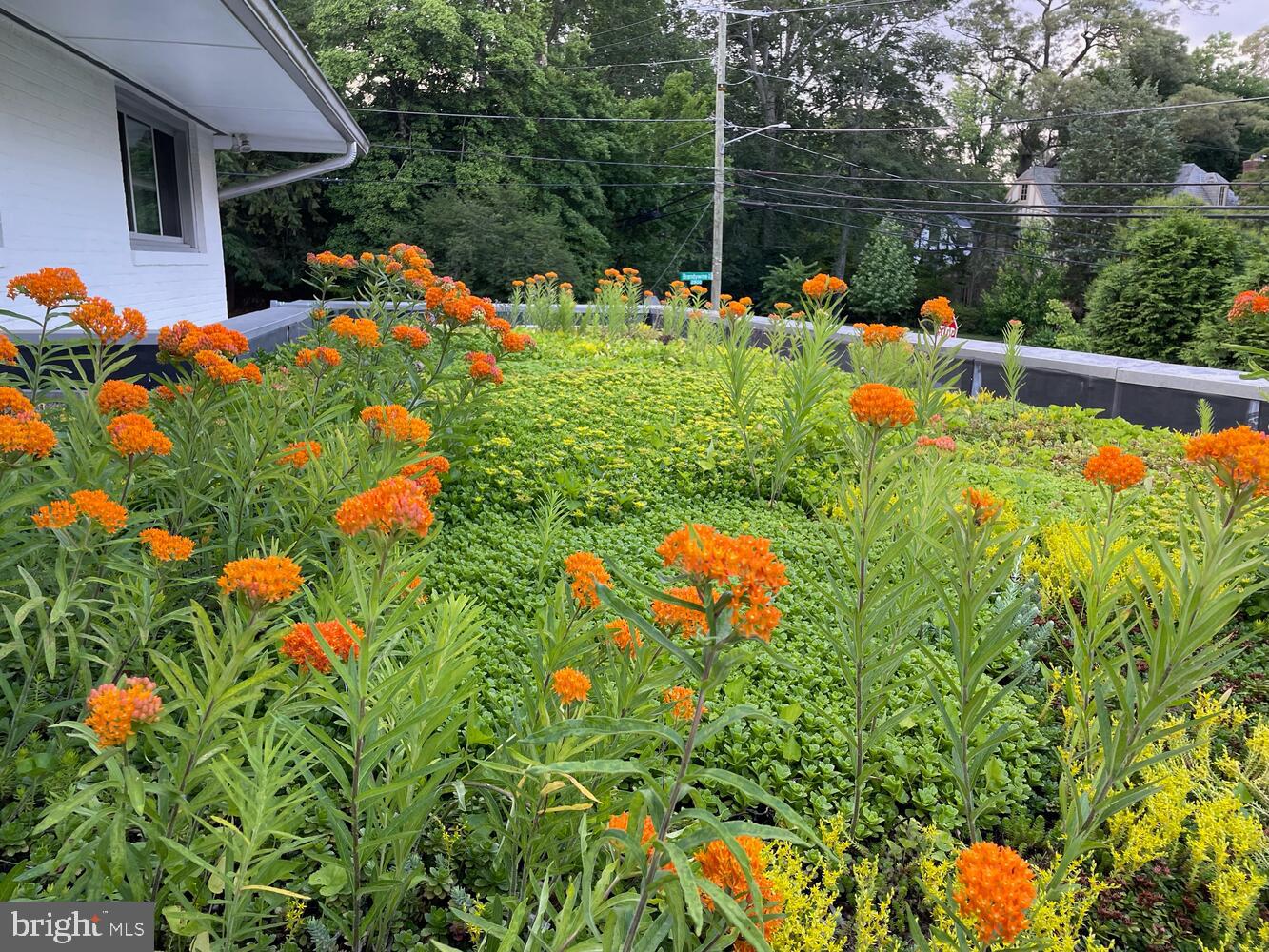 2828 BRANDYWINE STREET NW