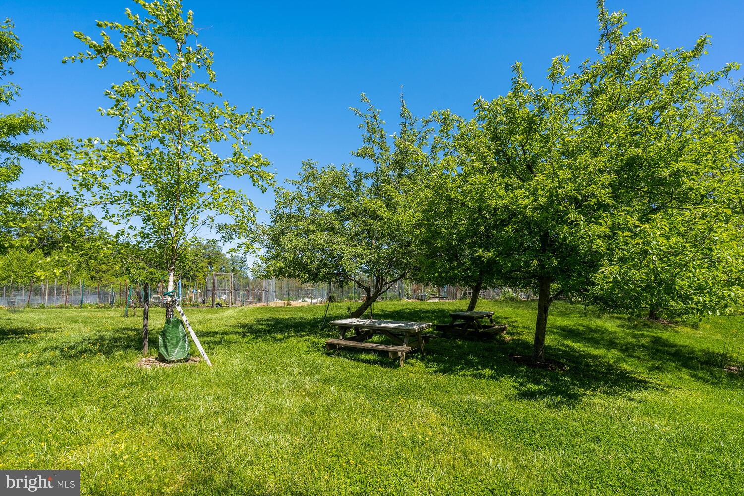 3861 NEWARK STREET NW E467