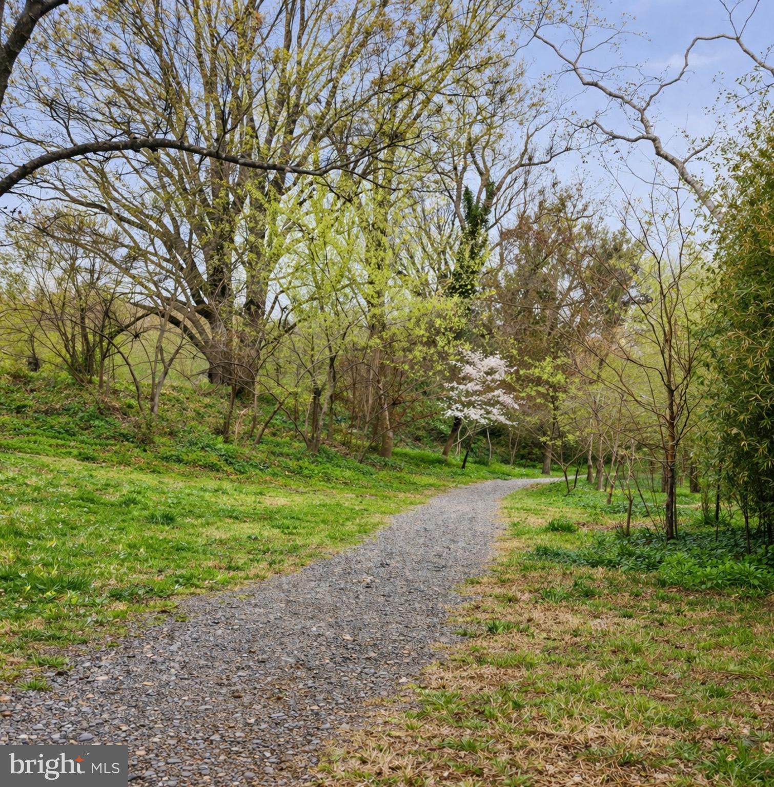 3517 RODMAN STREET NW