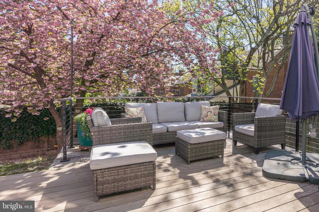 5011 CHEVY CHASE PARKWAY NW