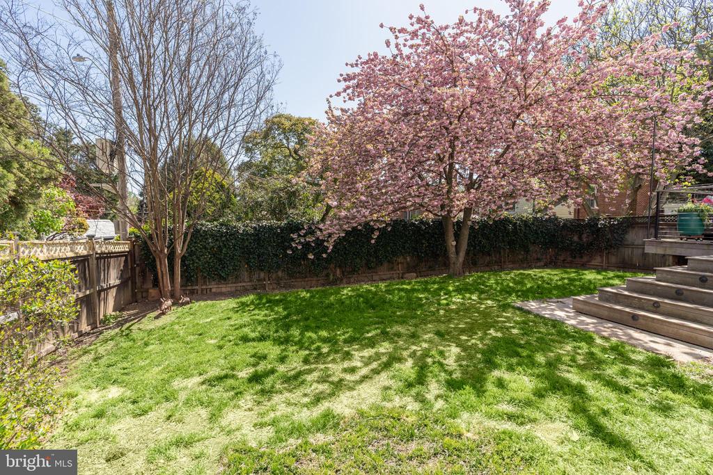 5011 CHEVY CHASE PARKWAY NW