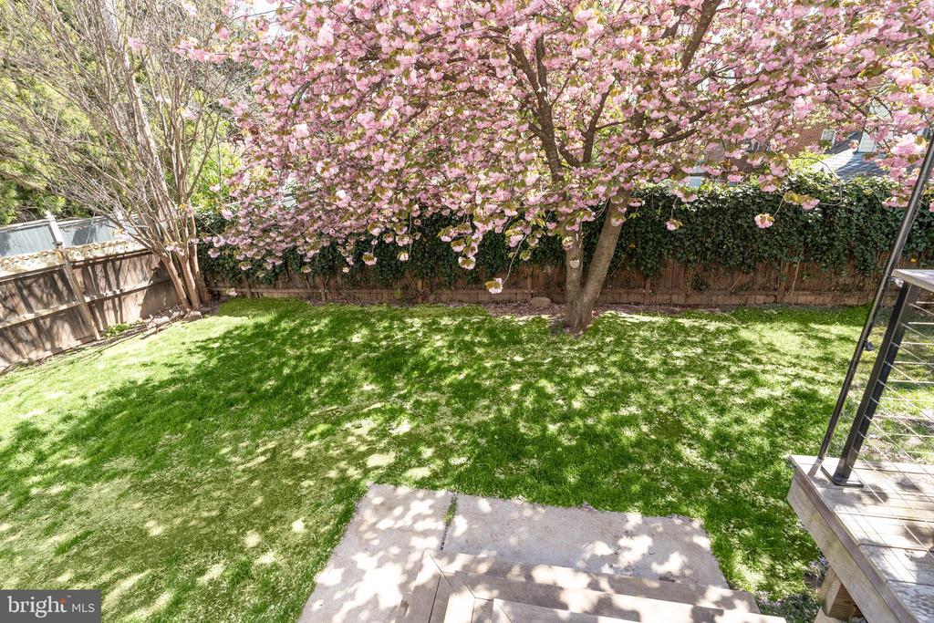 5011 CHEVY CHASE PARKWAY NW