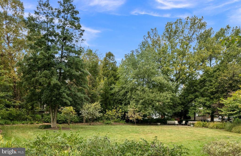 4600 CONNECTICUT AVENUE NW 306