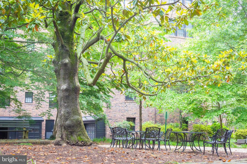 3900 CONNECTICUT AVENUE NW 306-F