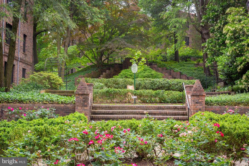 3900 CONNECTICUT AVENUE NW 306-F