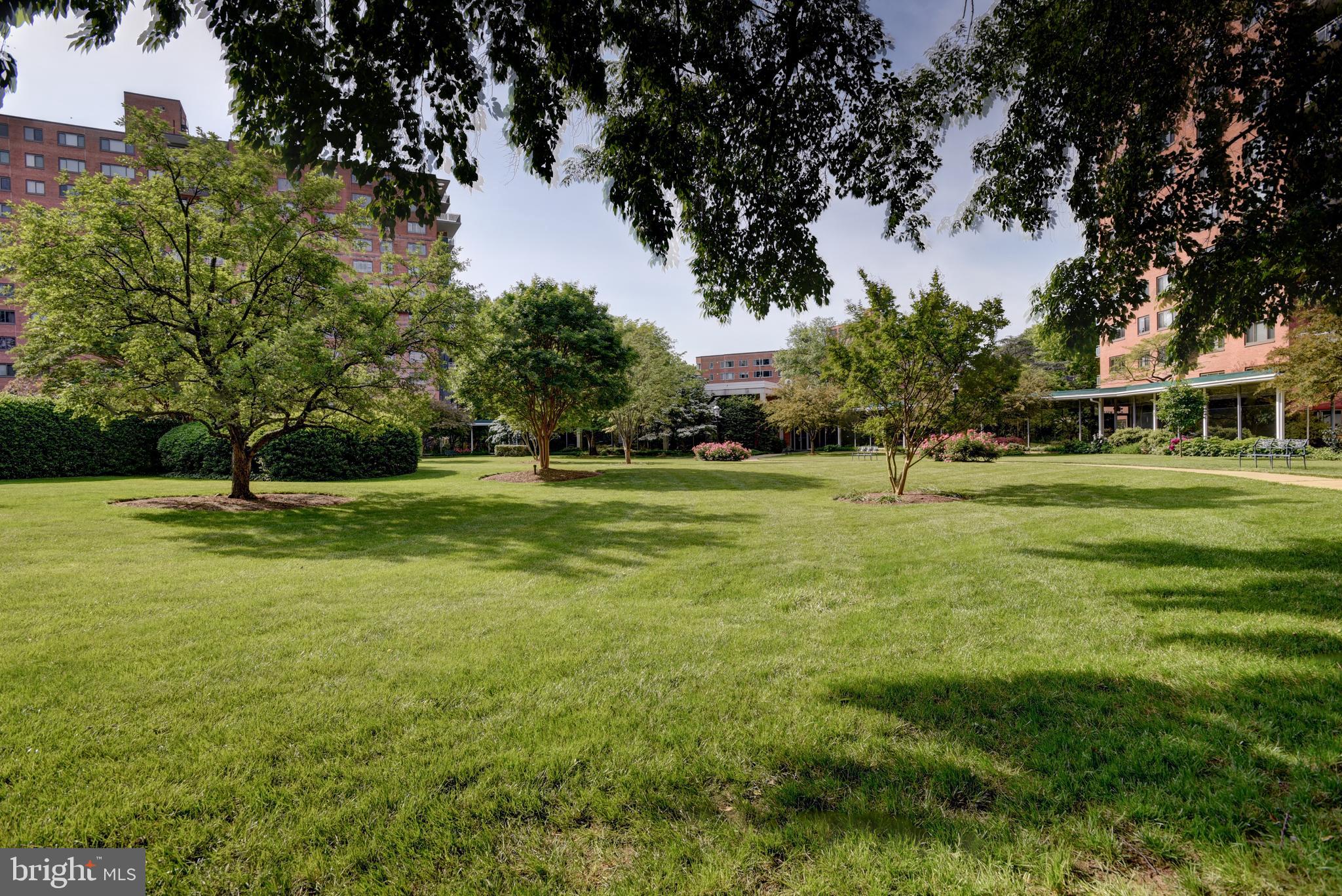 4201 CATHEDRAL AVENUE NW 619W