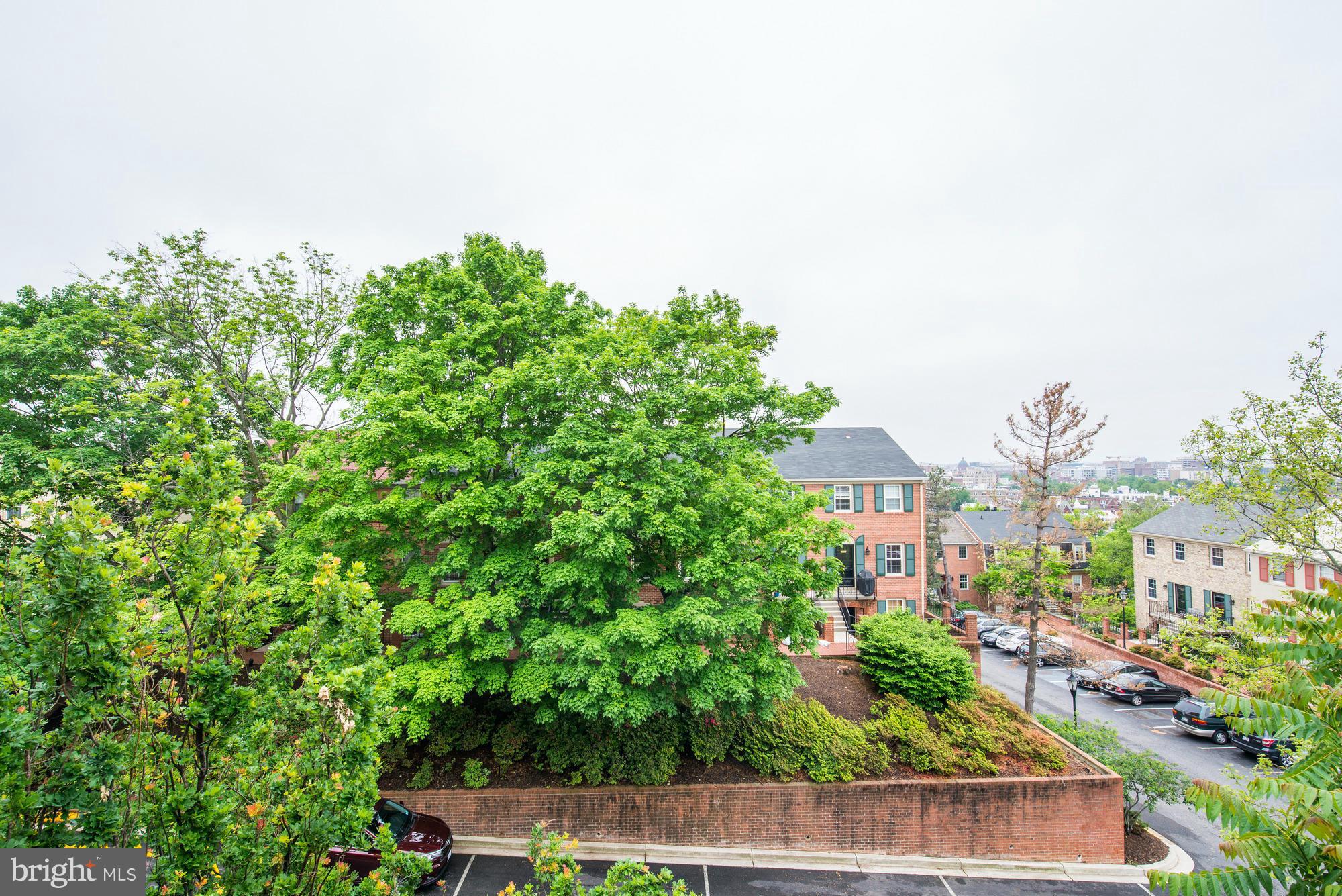 1624 BELMONT STREET NW A