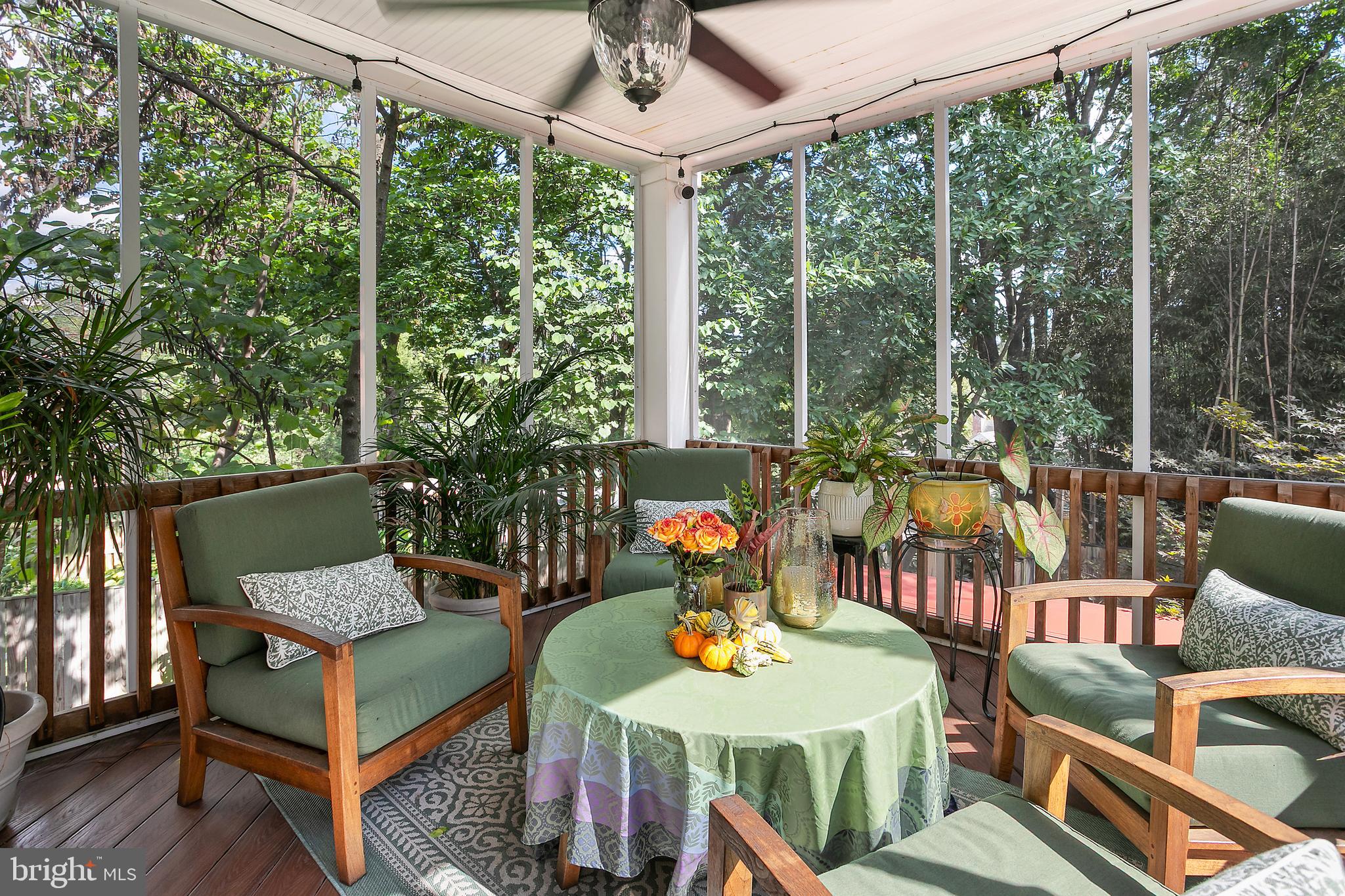 5217 CHEVY CHASE PARKWAY NW