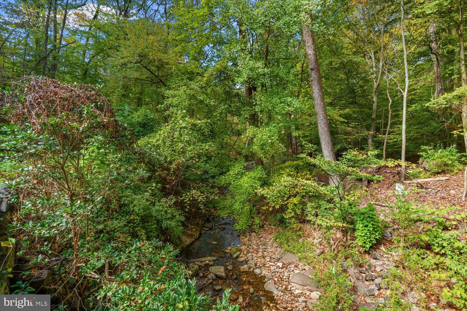 4838 BROAD BRANCH ROAD NW