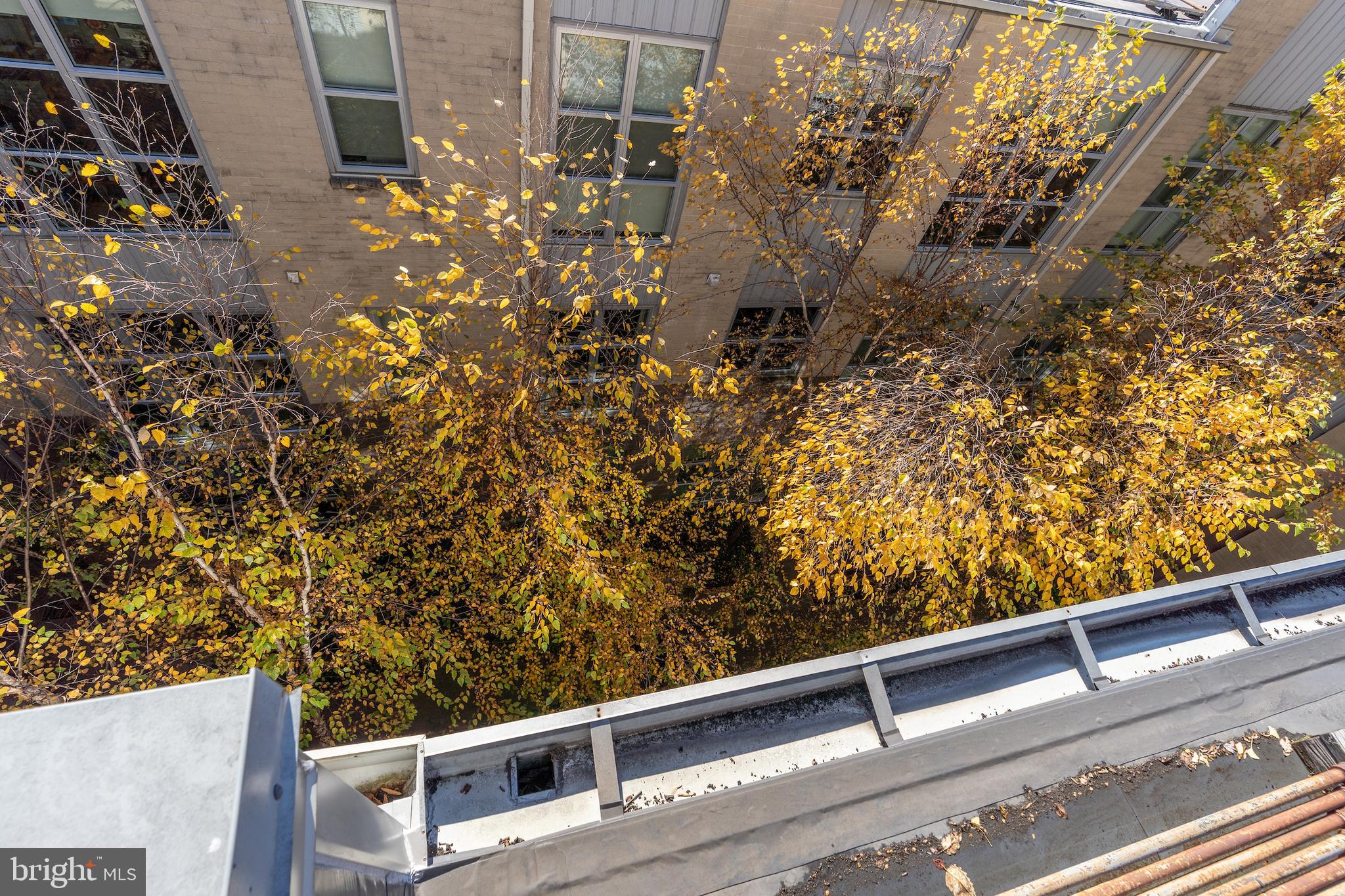 2380 CHAMPLAIN STREET NW 15 NOW 305 PENTHOUSE