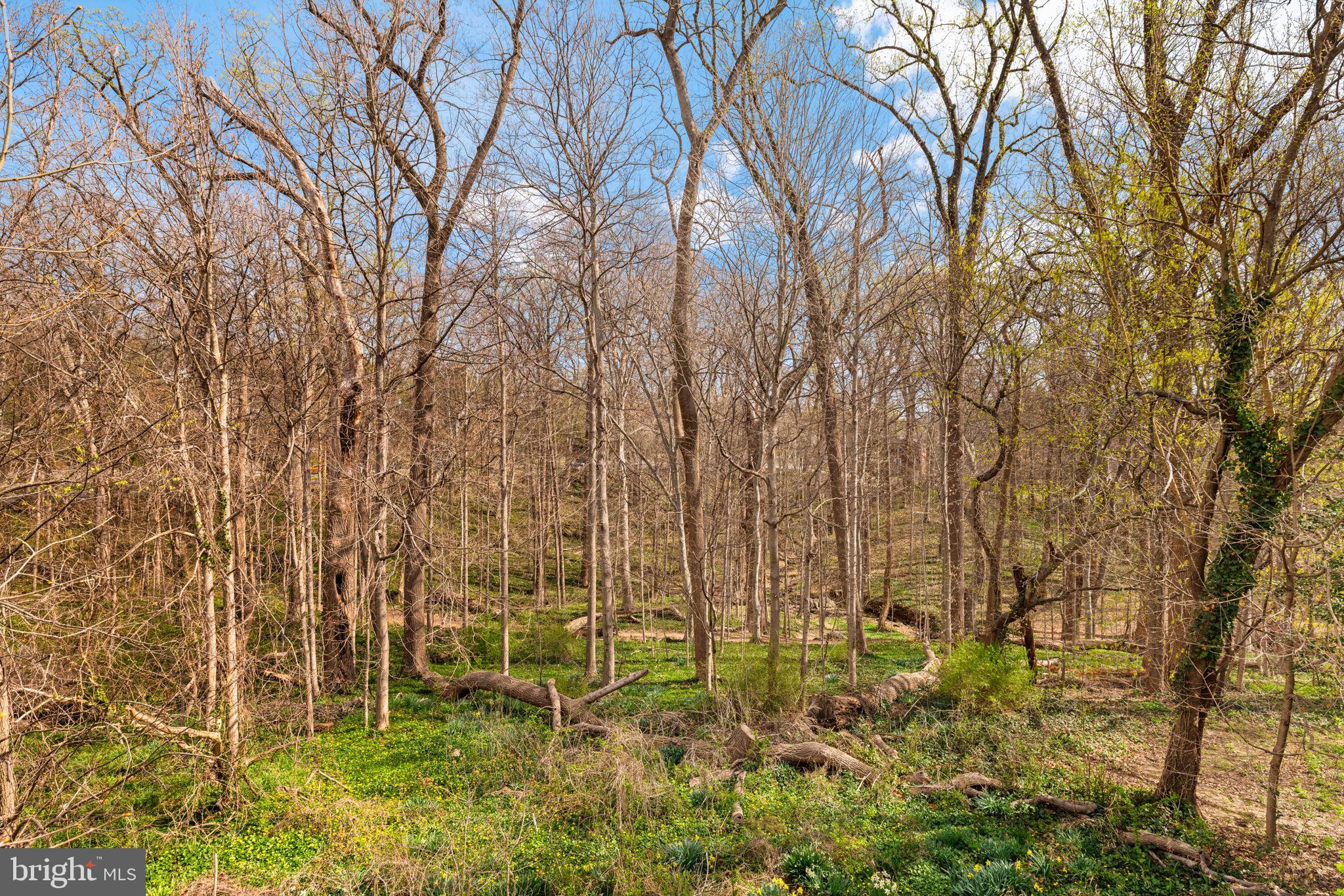 2333 NEBRASKA AVENUE NW