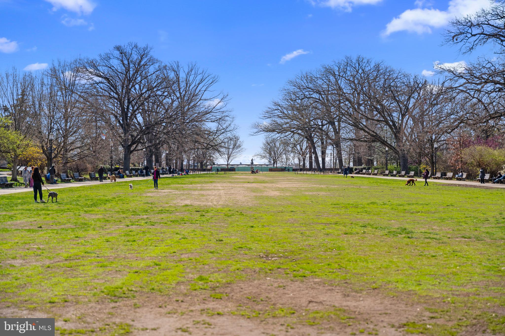 1439 CHAPIN STREET NW 103