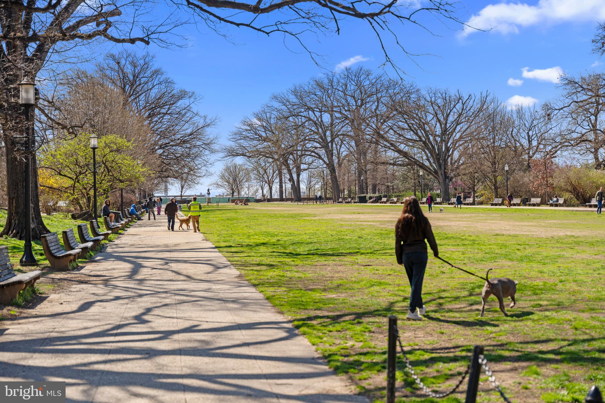 1439 CHAPIN STREET NW 103