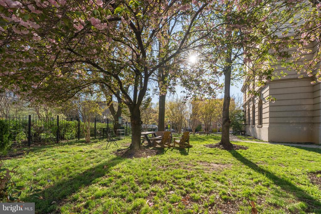 3060 16TH STREET NW 209