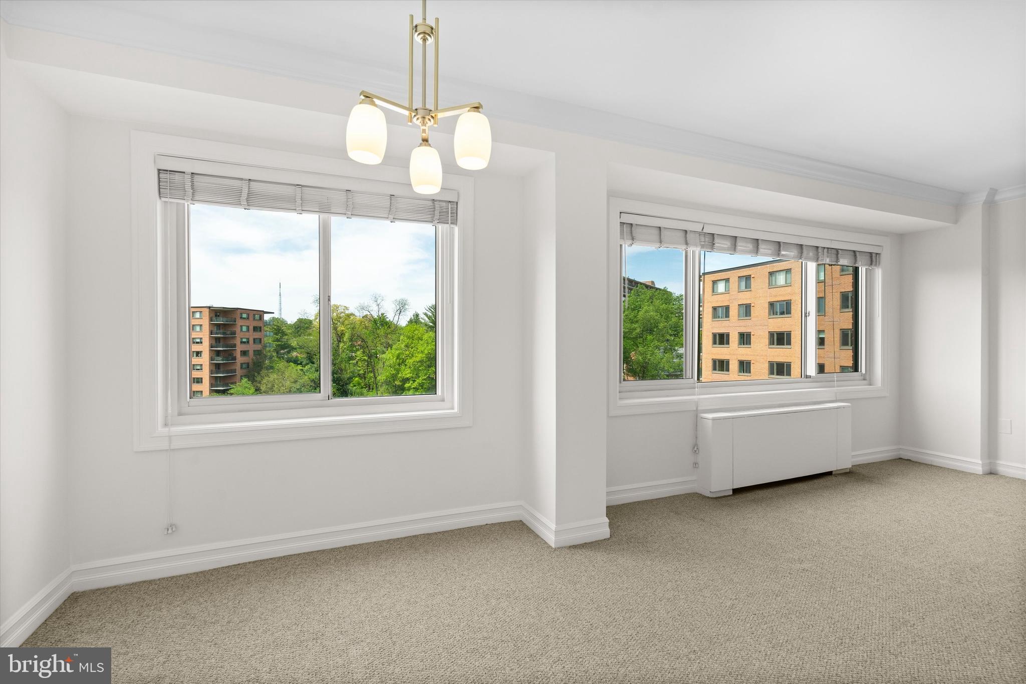 4201 CATHEDRAL AVENUE NW 1118E