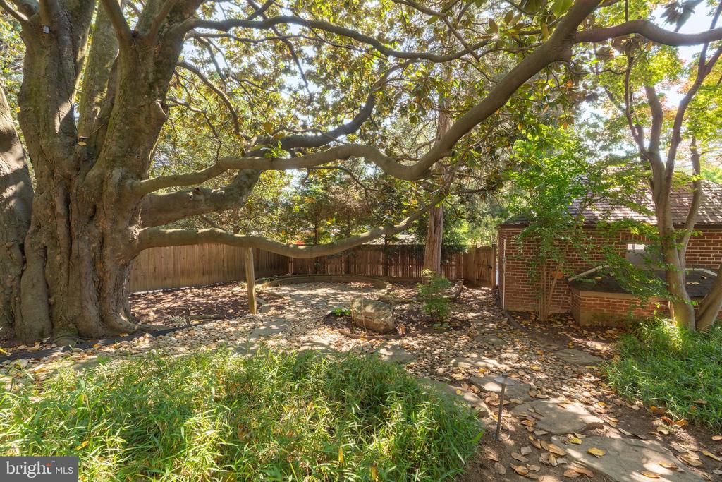 5103 CHEVY CHASE PARKWAY NW