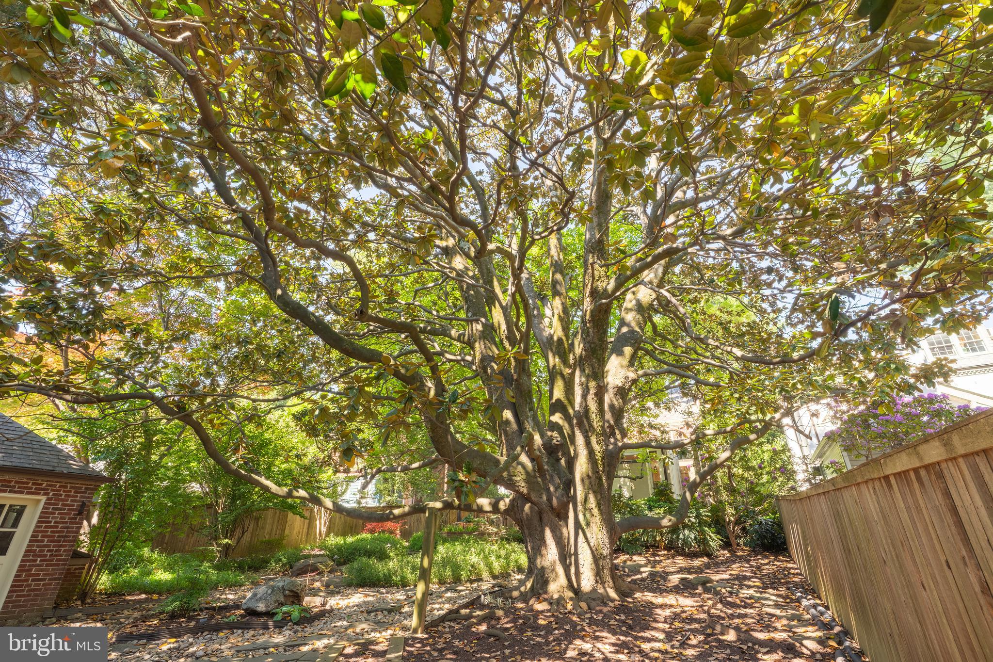 5103 CHEVY CHASE PARKWAY NW
