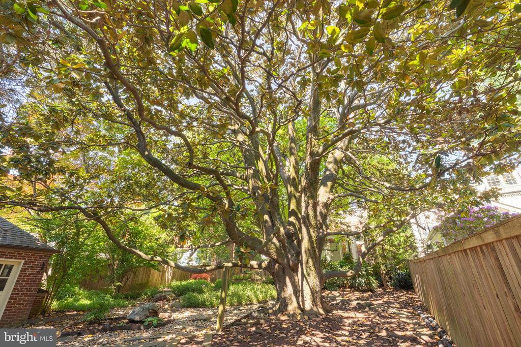 5103 CHEVY CHASE PARKWAY NW