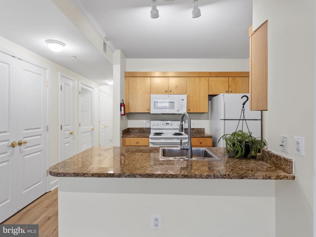 616 E E STREET NW Unit: 407